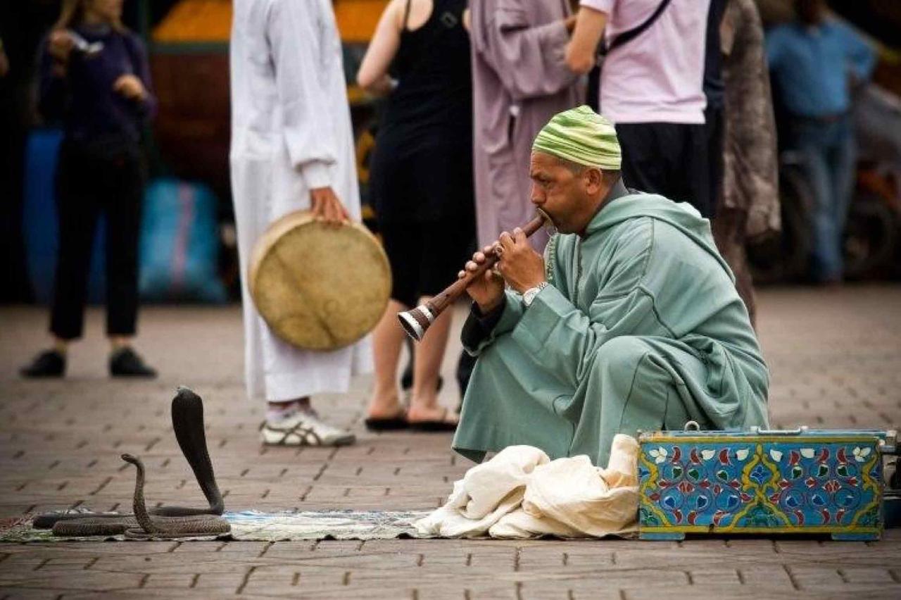 WhatsApp Image 2025 11 14 at 12.23.53 6