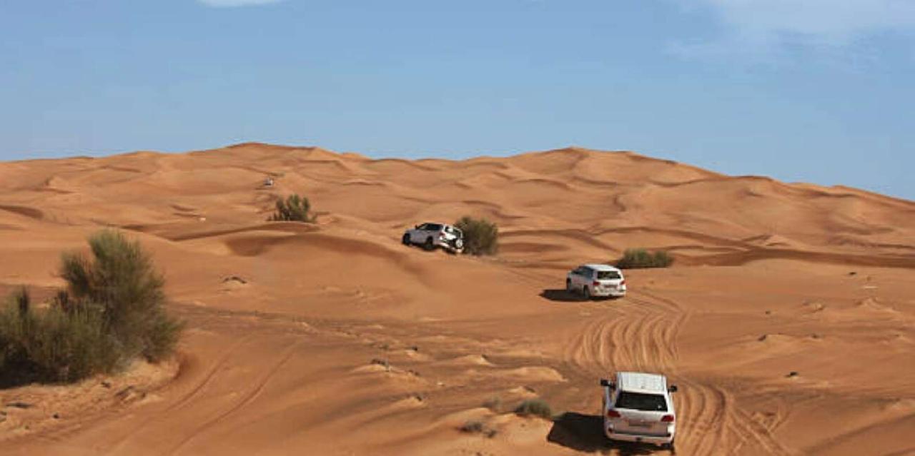 WhatsApp Image 2025 11 14 at 12.23.55 5