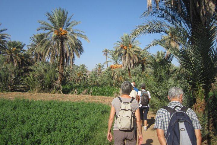 WhatsApp Image 2025 11 14 at 12.23.57 1