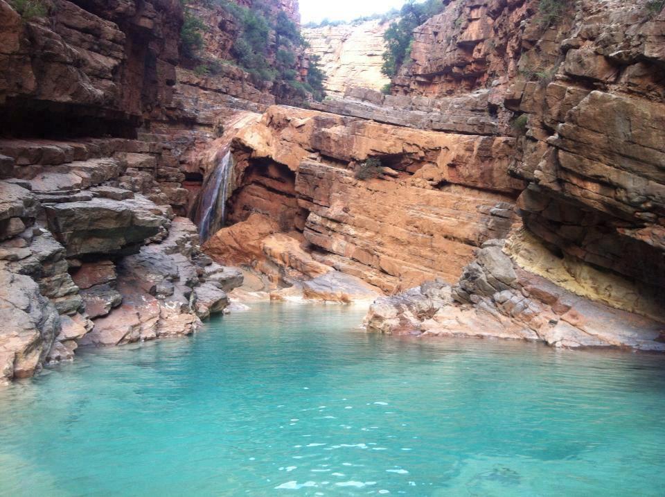 WhatsApp Image 2025 11 14 at 12.23.58 1