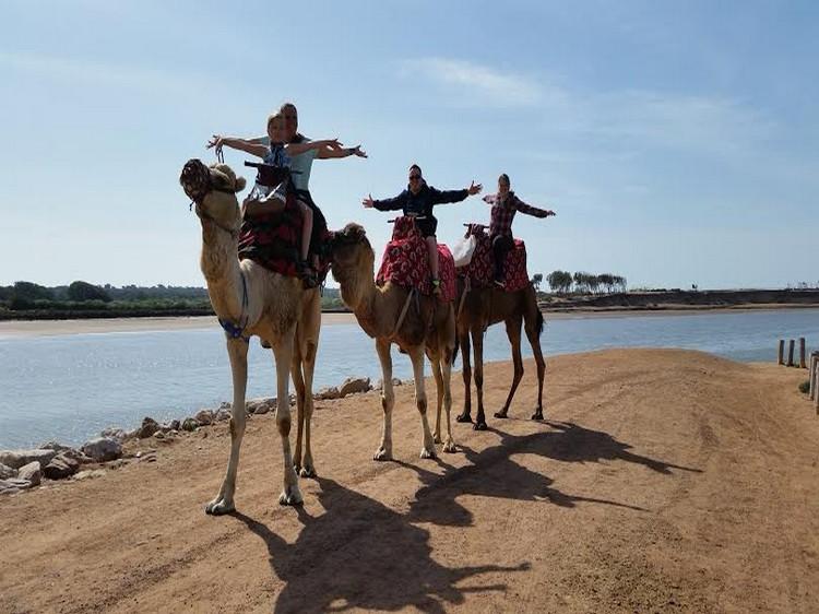 WhatsApp Image 2025 11 14 at 12.24.03 4